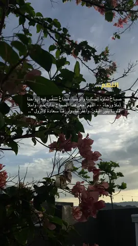 ‏🦋❣️ ‏