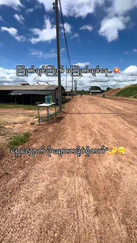 ယုံချင်ယုံ မယုံချင်နေ ဒါအမှန်ပဲ#foryou #viral #fypပေါ်ရောက်စမ်း #viral 