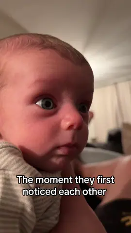 Could cut the tension with a knife #babyboy #babytom #twins #twindad 