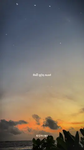 සිනාසෙන්න බෑනේ! 😪❤️‍🩹🥹 #nohimi #නොහිමි #tiktoktainment #whattowatch #sinasennabane 