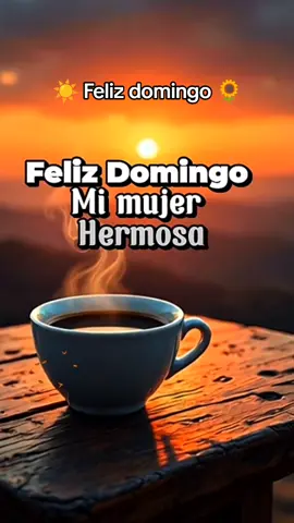 Feliz domingo mi amor #CapCut #felizdomingo #felizamanecer #buenosdias #frasesparadedicar 