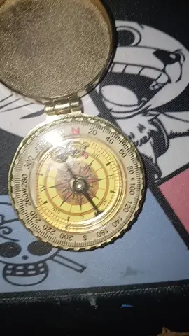 I th1nk my compass is curiosity #ishmael #limbuscompany #projectmoon #ahab 