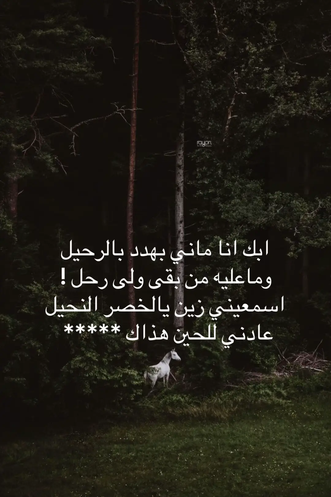 #المدينة #مالي_خلق_احط_هاشتاقات #شعر #fyp #like 