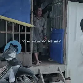 10 năm chăm sóc 1 bông hoa, nhưng khi hoa nở lại chê người vun trồng #nhachaymoingay #viral #xuhuong #nhacchill #nhacnaychillphet 