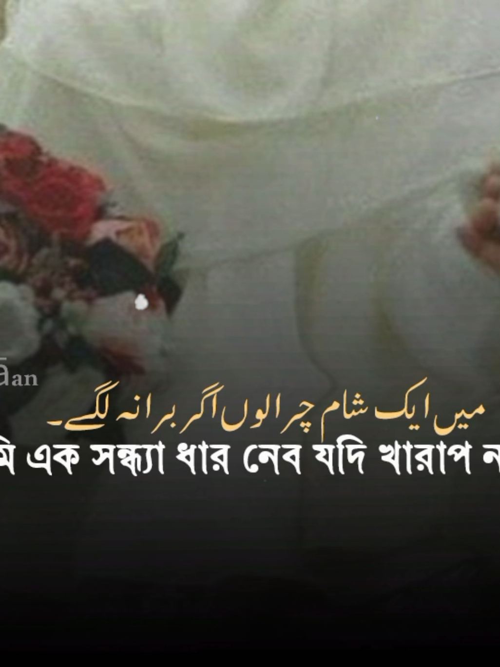 তোমার শহরের হাওয়া বড়ই সুন্দর লাগে! تمہارے شہر کا موسم بڑا سہانا لگے۔ #urdugazal #urdupoetry #only_vocal #islamic_video #shorts 