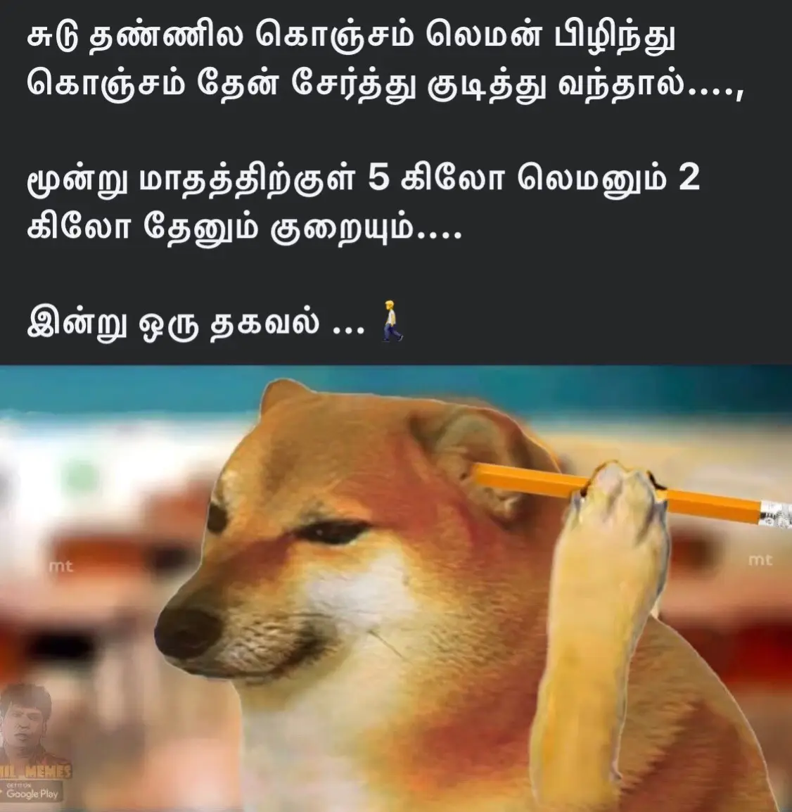 #tamil #tamilsong #tamilmusical_ly #tamilan #tamilstatus 