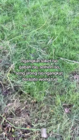 dongakne anak mu iki nggeh pak,buk mugo
