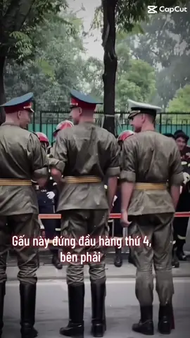 T mê Gấu này từ hôm mới xuống sân bay rồi :))) #nga #quandoinga🇷🇺 #ngadieubinh #dieubinh2025 #putin #a80 