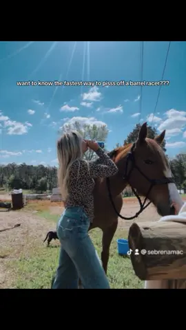 my boyfriend is single…. actually he’s free. 😭😭😭😭🛑🛑 #fyp #barrelracing 