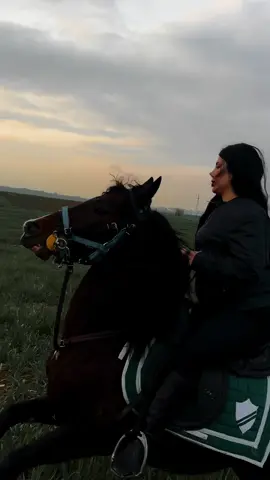 ڤیدۆی تازەم نەبوو بەس لەبەر گۆرانیەکە ئەوەنە تایبەتە ئەمەم درووست کرد 😂#tiktok #foryou #foryoupage #الشعب_الصيني_ماله_حل😂😂 @Sooomw  @hana_xan_designs 