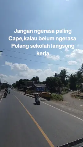 rela bolos sekolah demi kepasar🤣#peternakmuda #sapiboy #peternakkeren #bismillahfyp #limosin 