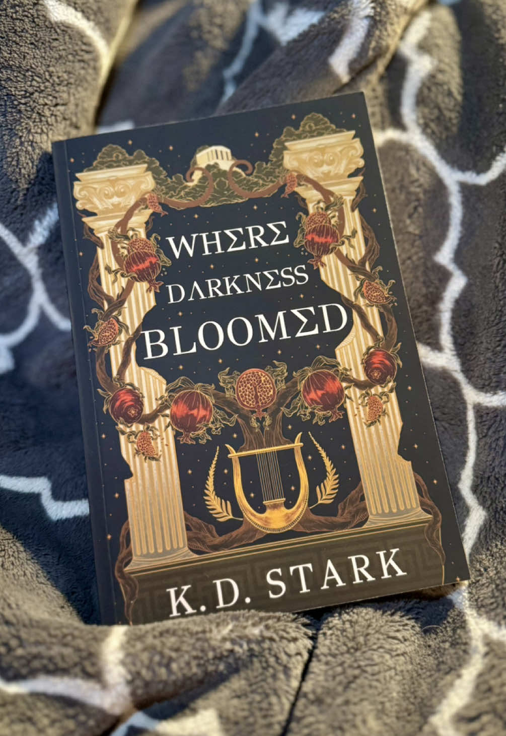 Open my first ever piece of book mail with me?!?! I'm so incredibly grateful to be able to even say this 😭 thank you SO MUCH to The Nerd Fam (@The Nerd Fam) and @KD Stark for this beautiful ARC! Review coming soon 🥰 #wheredarknessbloomed #thenerdfam #BookTok #fyp #toberead 