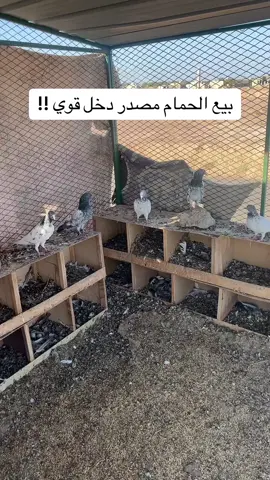 #fyp #fypシ゚viral #الطويري 