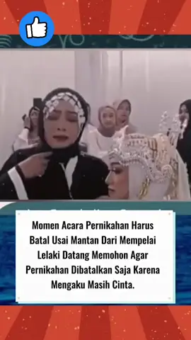 #videolucu #videorandom #artist #berita #kumpulanvideoviral