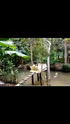 #veo3 #xuhuong muốn không làm mà có ăn hả