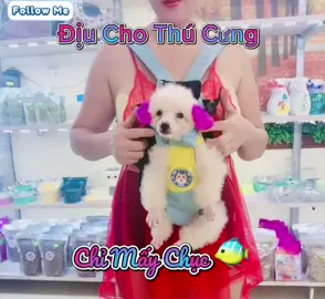 Em Bé Cứ Thấy Mang Địu Ra Là Đầu Nhảy Số Tưng Tưng Chuẩn Bị Được Đi Chơi Rồi Đó Các Cô Chú Ơi #địuconđikhắpthếgian #xuhuongtiktok #viralvideo 