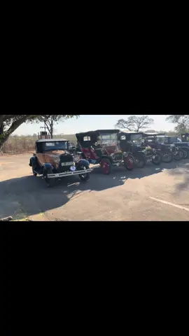 Our guide escorting a vintage car club in the Kruger National Park. 