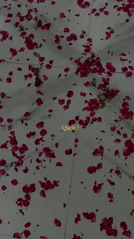 Qadr!!? #tiktok #viral #fyp #foryoupage #trending 