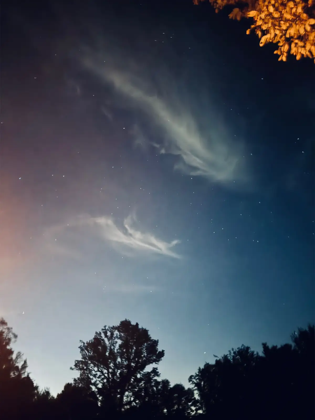 Star light, star bright 