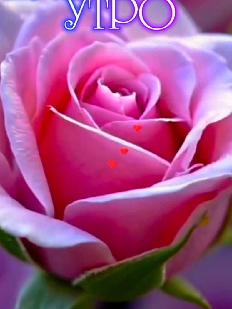 #❤️❤️❤️💫💫💫 #