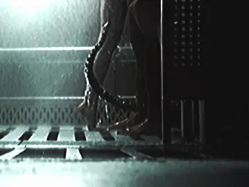 just a scrap lowkey but I love the xenomorphs..alien: earth is so good  ☾.  scp — xenoxlogoless :: #alien #xenomorph #xenomorphedit #foryoupage #xybca 