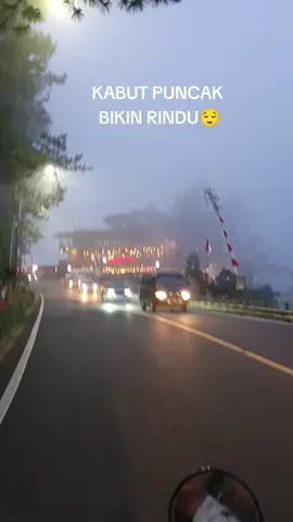 Kabut puncak bikin rindu