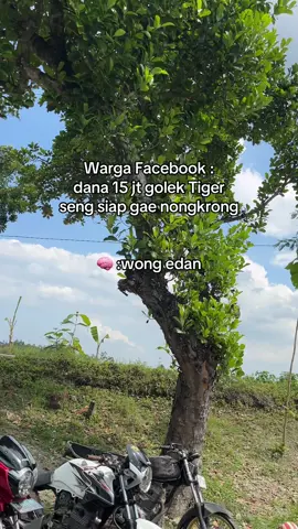 Tiger emang semurah itu🤨#TigerRed #tigergank #tigermodifikasi #bjn24jam #fypシ゚ 
