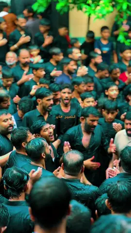 #azadarinetwork009 #lanatbardushmanezahra #dasta_saqa_e_sakina_fsd #28safar_shahadat_imam_hassanع #arbaeenhussain2025 #چہلم_امام_مظلوم_کربلاء #28safarshadatimamhassan #28safar_shahadat_rasool_e_khudaص #allamsyedsehnshahnaqvikarachi #unfreezemyacount #karbala_karbala #molahassan #rajabbutt #shiastatus #alwidasyeda 