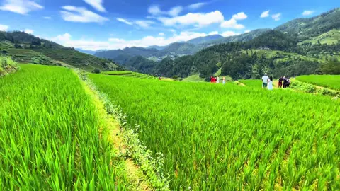 Giờ không lên thì  khi nào mới lên ?#canhdep #mucangchai #garryamucangchai #doimamxoimucangchaiyenbai #ruongbacthangmucangchai 