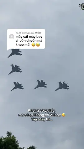 Trả lời @TN865 nhưng mà có biết Su30 là gì không đã??? 🙄😅🤪😩 #vietnam #quandoinhandanvietnam #dieubinh #a80 #vietnammuonnam🇻🇳 