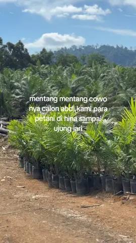 kacau wak#petanisawit🌴 #kalimantan 