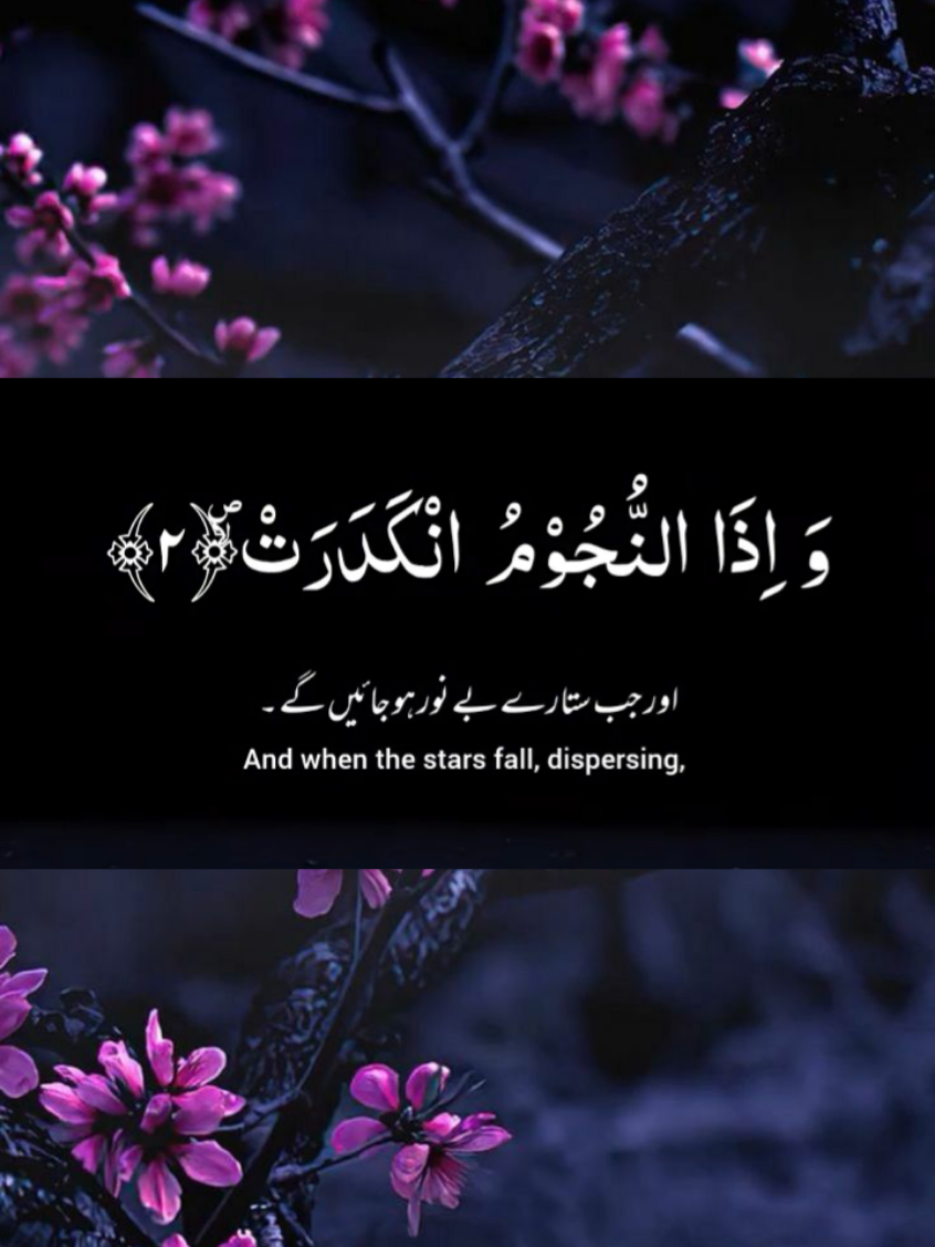#creatorsearchinsights #fyp #Quran #islamic_video #viral 