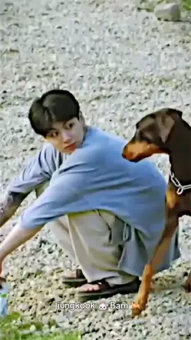 fofura 🐇 , sempre cuidado do bam com tanto amor 💘 🐕#bts  #bighit #amores #coreanos #jungkook 