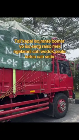 Setia kok😜