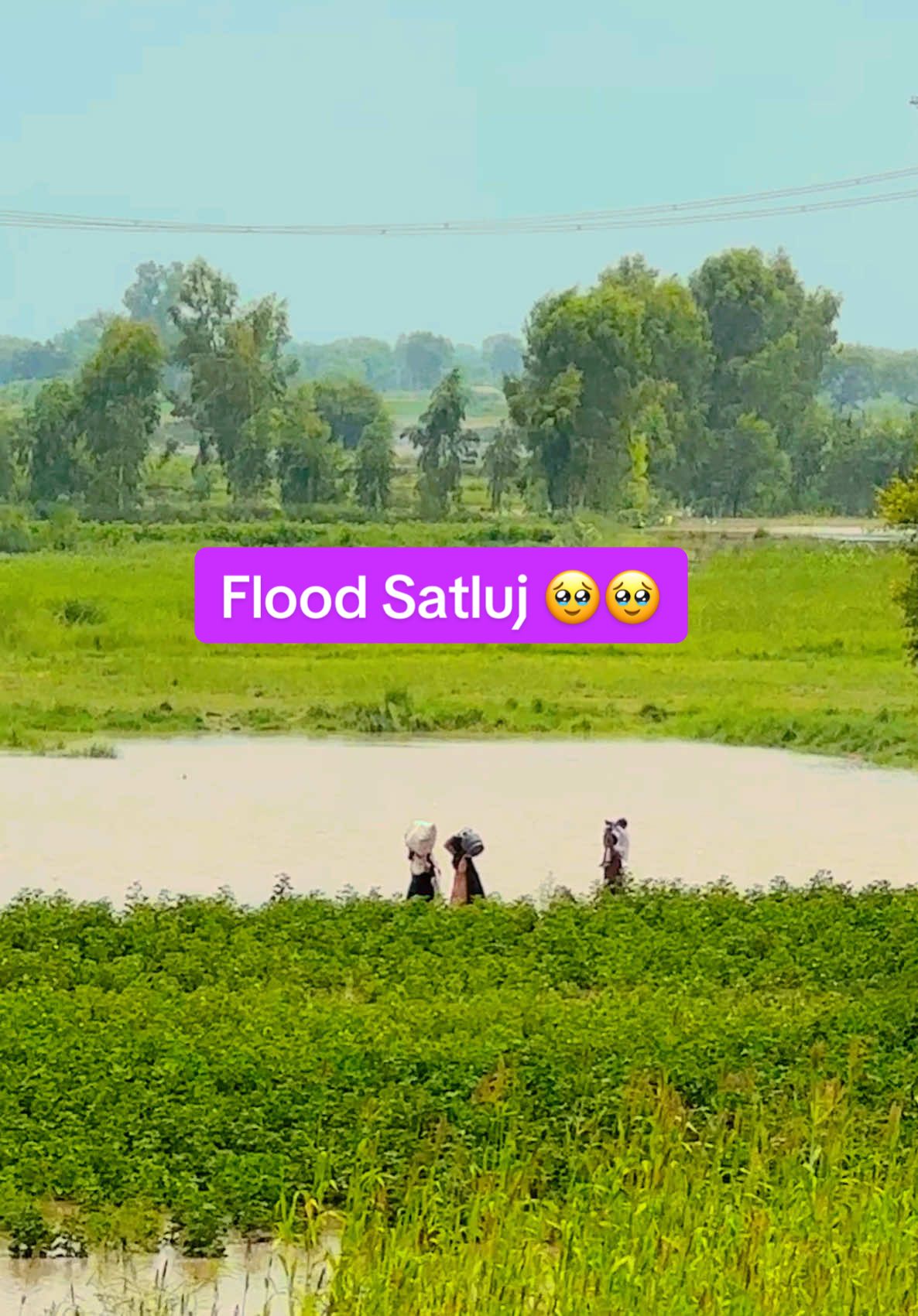 Flood 😭😭 Satluj bahawalnagar #flood #satluj #بہاولنگر_الے_جھیڈو 