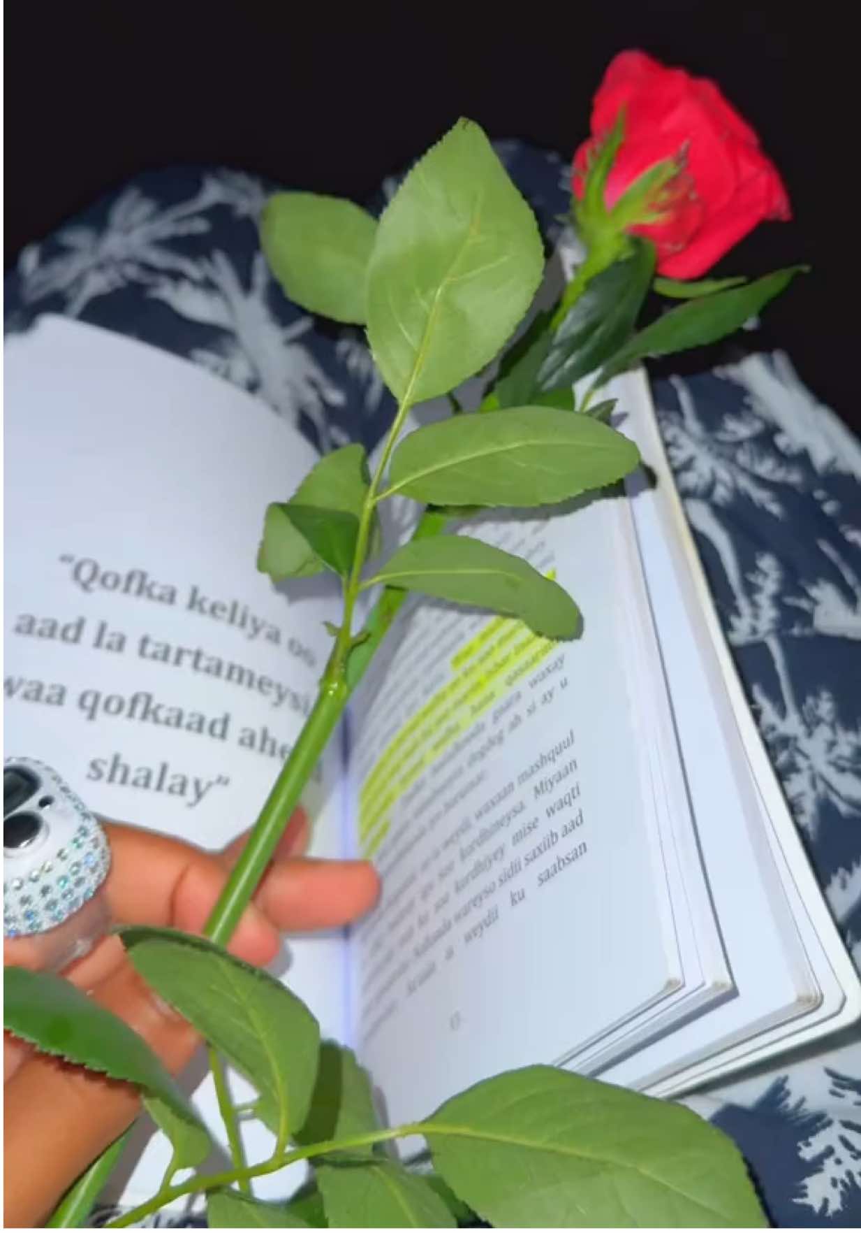 Qof kastaa dagaal wuu la kulmaa, laakiin kan ugu culus waa kan aan aniga iyo naftayda dhexdeena ka socda.  Dagaalkan aad naftada kula jirto waa mid ku baraya adkeysi, sabar iyo in aad runta wajahdo