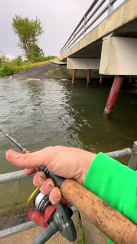 Cass lake & Mississippi River! #fishinglife #rivermonster #upnorth #casslake 