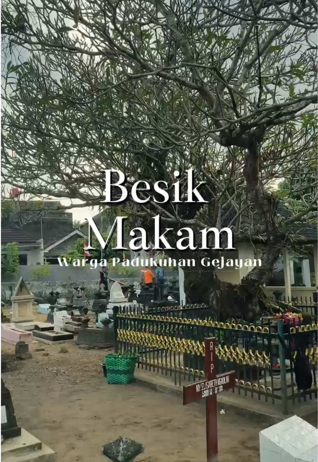 Ngerumat, ngelingke, lan ndungo 🌿 #budayajawa #mudamudigejayan #karangtaruna #gejayan #fyp 