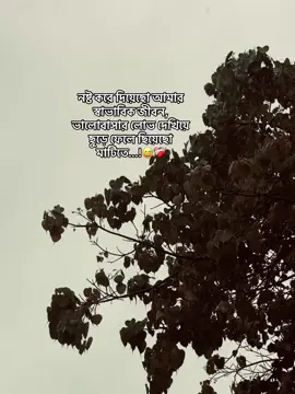 -নষ্ট করে দিয়েছো আমার স্বাভাবিক জীবন, ভালোবাসার লোভ দেখিয়ে ছুড়ে ফেলে ছিয়েছো মাটিতে...!😅❤️‍🩹#fyp #foryou #foryoupage 