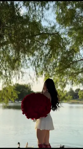 Llegó mi jardín con flores rojas. ❤️ #fyppppppppppppppppppppppp 