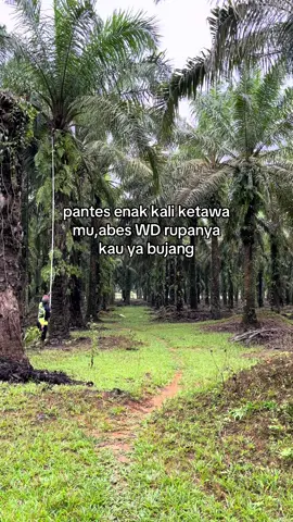 #batak #fypシ゚viral #promoseruweekend #foryou #fypage 
