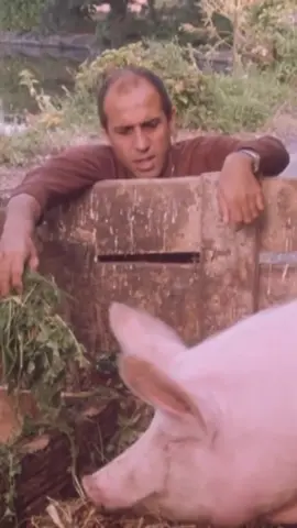 #OrnellaMuti ❤️❤️❤️❤️❤️ #AdrianoCelentano  #Films  #IlBisbeticoDomato  1980 “Cosa c’è? Ah vuoi raccontarmi una barzelletta? È la solita storiella spinta? - Sei proprio un 🐷🐖😂😂😂 #Love                        