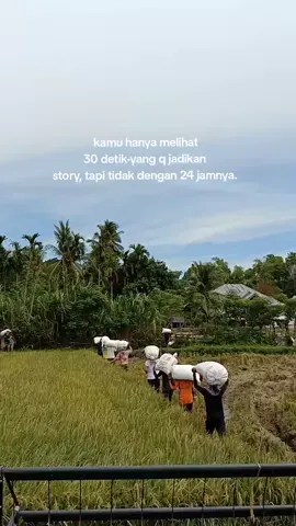 HANA SIPADAN#vibess #laguacehviral #viralfyp #lewatberandafyp 