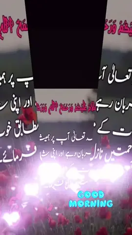 #guldaste #subah bakheir#foryou #tiktokuk🇬🇧🇵🇰 