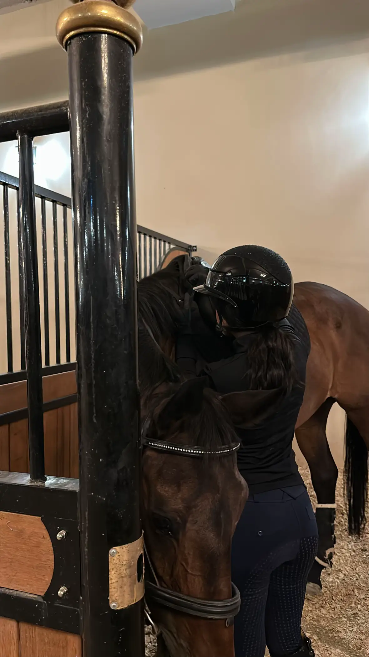 #fyp #viral #equestrian 