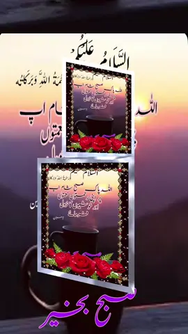 #guldaste #subah bakheir#foryou #fyp #tiktokuk🇬🇧🇵🇰 