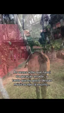 As melhores!#zezedicamargo #sertanejo #modao #fyp 