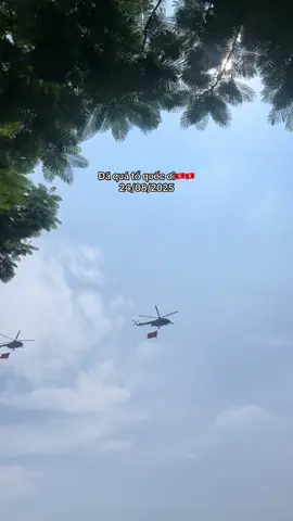 Ngắm chuồn chuồn bay🇻🇳🇻🇳🇻🇳 #a80 #dieubinh #quockhanh #vietnamtoiyeu 