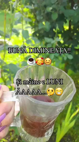 #bunădimineața☕️  #diminetilacafea☕️🌞😎  #diminetideweekend🌞😍  #simaineEluniĂAAA😁🤔😎 