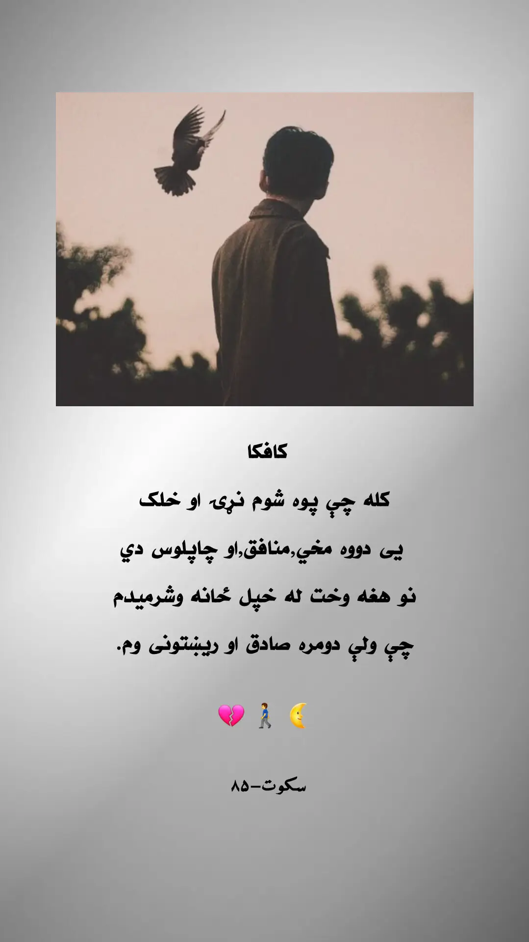 #creatorsearchinsights #foryou #fyp #foryoupage @ᴋʜᴀᴍᴏsʜ_🍂 